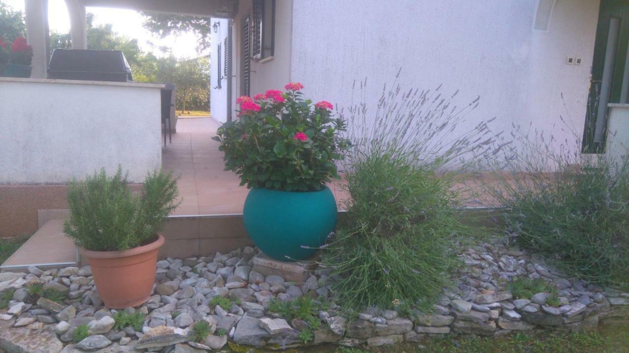 Apartmani Bauk Poreč Exterior foto