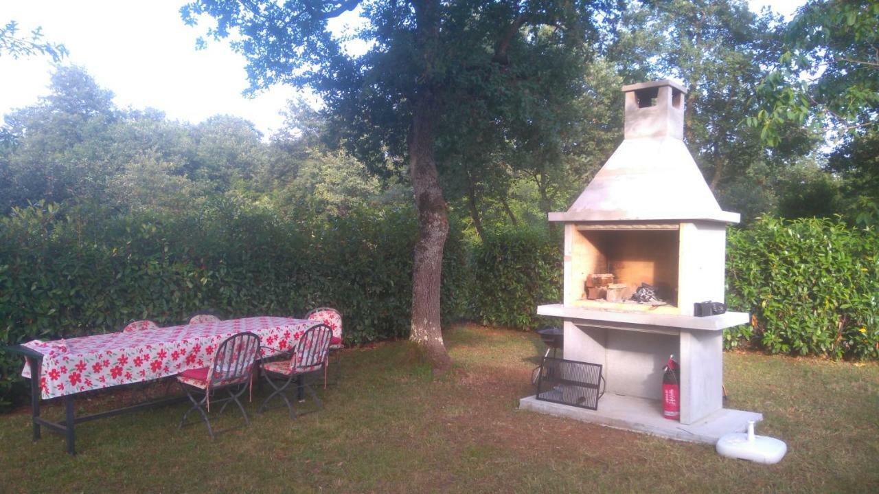 Apartmani Bauk Poreč Exterior foto
