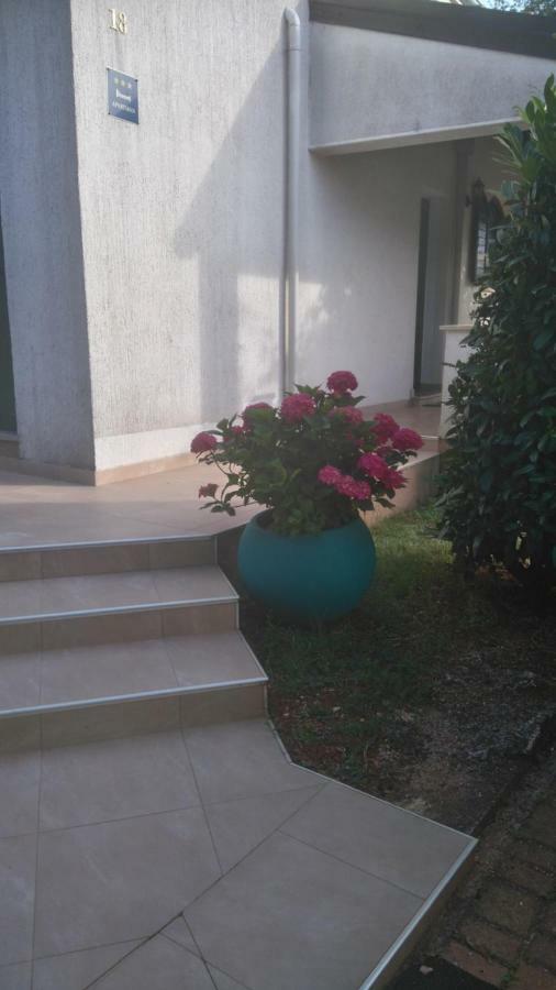 Apartmani Bauk Poreč Exterior foto