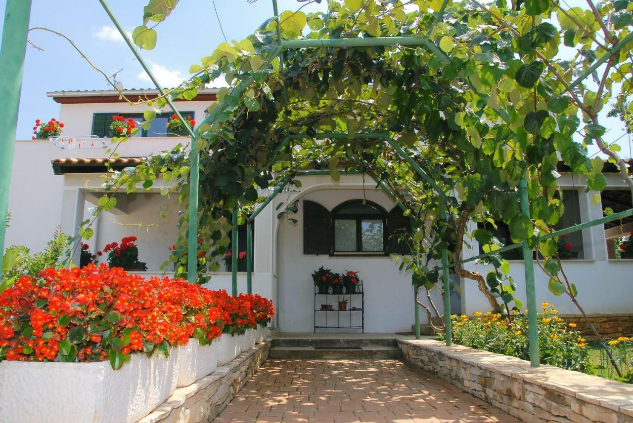 Apartmani Bauk Poreč Exterior foto